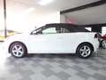 Volkswagen Golf VI 1.2 TSI Cabriolet LEDER/PDC/KAMERA/SHZ Weiß - thumbnail 9