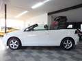 Volkswagen Golf VI 1.2 TSI Cabriolet LEDER/PDC/KAMERA/SHZ Weiß - thumbnail 10