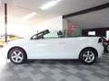 Volkswagen Golf VI 1.2 TSI Cabriolet LEDER/PDC/KAMERA/SHZ Weiß - thumbnail 11