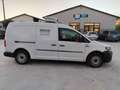 Volkswagen CADDY  2.0 100 CV Bianco - thumbnail 2