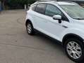 Ford Kuga Kuga 2.0 tdci + 2wd 140cv Blanc - thumbnail 12
