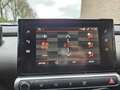 Citroen C4 Cactus 1.6 BlueHDi Business Gris - thumbnail 11