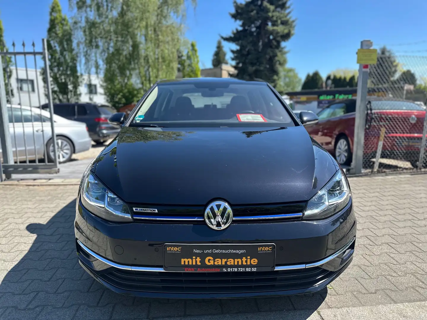 Volkswagen Golf Comfortline BlueMotion,6.GANG,33.TKM,LED,ACC,XENON Nero - 2