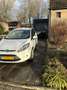 Ford Fiesta 1.25 Limited Wit - thumbnail 2