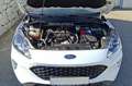 Ford Kuga 1,5 EcoBlue Cool & Connect Weiß - thumbnail 7