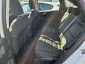 Ford Kuga 1,5 EcoBlue Cool & Connect Weiß - thumbnail 16