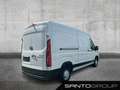 Mercedes-Benz Sprinter 2.0 Transporter RWD Weiß - thumbnail 4