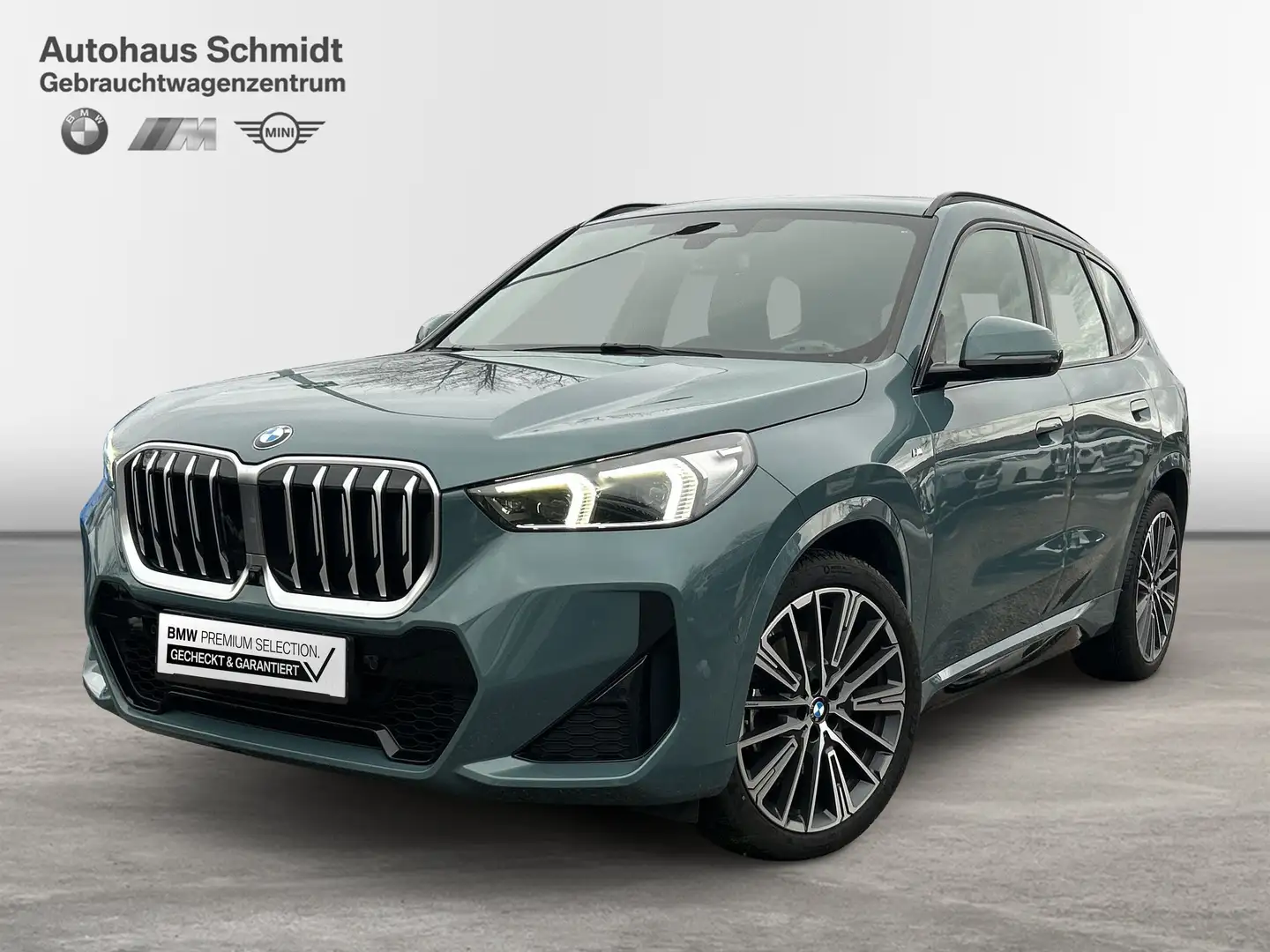 BMW X1 xDrive23i M Sportpaket Head-Up HK HiFi DAB Grün - 1