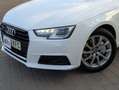 Audi A4 Avant 2.0TDI Advanced ed. quattro S-T 140kW Blanc - thumbnail 15