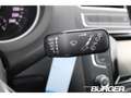 Volkswagen Polo V Comfortline Alu Klima PDC v+h sehr wenig KM Frei Azul - thumbnail 14