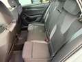 Skoda Octavia 2.0 TDI Ambition 4x4 FLA NAVI KAMERA AMBIENTE Grau - thumbnail 14