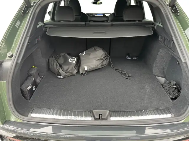 Audi Q5 e-hybrid quattro 270 KW Ansicht 20