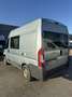 Fiat Ducato Fiat Ducato | 2 Letti, Cucina, Pronto a Partire Bílá - thumbnail 8