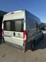 Fiat Ducato Fiat Ducato | 2 Letti, Cucina, Pronto a Partire Bílá - thumbnail 6