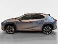 Lexus UX 250h Preference Line Limited | Stoel verwarming | Stuur Grijs - thumbnail 3
