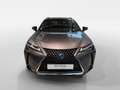 Lexus UX 250h Preference Line Limited | Stoel verwarming | Stuur Grijs - thumbnail 12