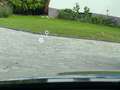 Nissan Qashqai Qashqai J12 tekna 1,3 DIG-T 158PS Xtronic 4x4 Schwarz - thumbnail 10
