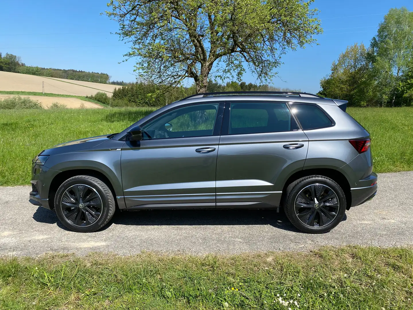 Skoda Karoq Karoq 2,0 TDI DSG Sportline Sportline Grau - 1