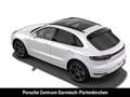 Porsche Macan Memory SHZ hinten StandHZG LenkradHZG Weiß - thumbnail 4