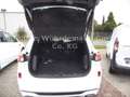 Ford Kuga Plug-In Hybrid ST-Line Weiß - thumbnail 7