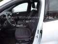 Ford Kuga Plug-In Hybrid ST-Line Weiß - thumbnail 10