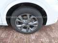 Ford Kuga Plug-In Hybrid ST-Line Weiß - thumbnail 4