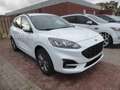 Ford Kuga Plug-In Hybrid ST-Line Weiß - thumbnail 3