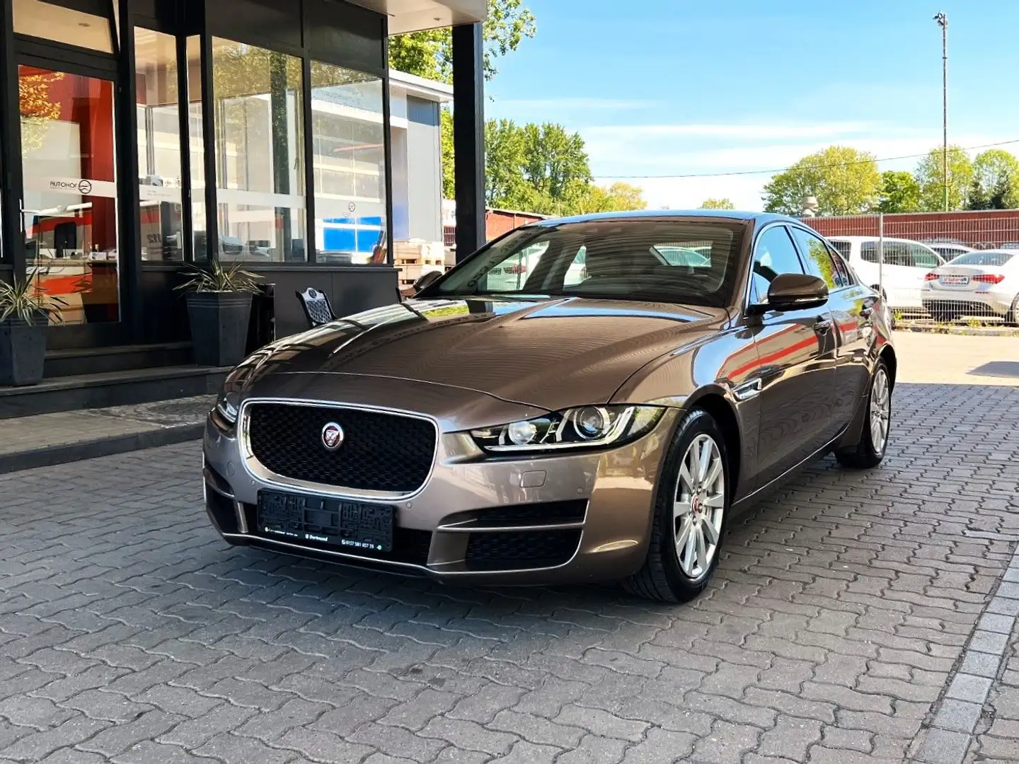Jaguar XE Pure/Leder/Xenon/20T/Navi/2,0 Ltr./TOP Or - 1
