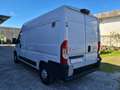 Fiat DUCATO 35 2.3 MJT 130CV PLM-TM 3p. Furgone Maxi Bianco - thumbnail 6