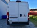 Fiat DUCATO 35 2.3 MJT 130CV PLM-TM 3p. Furgone Maxi Blanco - thumbnail 5