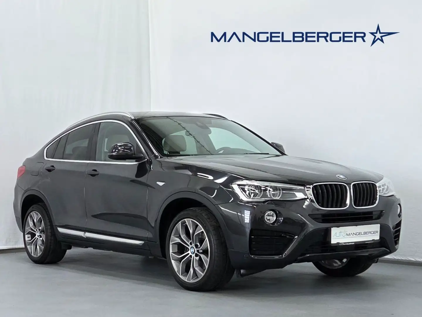 BMW X4 xDrive 20d X-Line LED AHK ACC Head-Up Grau - 1