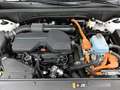 Kia Sorento 1.6 T-GDI Plug-in Hybrid 4WD ExecutiveLine 7p. Sto Blanc - thumbnail 47