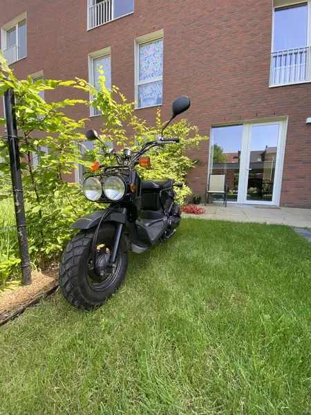 Honda Zoomer - foto 5