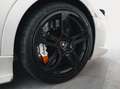 Lamborghini Murciélago LP640 Roadster *Carbon*Leather*Lift Weiß - thumbnail 20