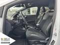 Ford Puma ST 1.5 EcoBoost|NAVI+LED+Sitzh+Winter-Paket Weiß - thumbnail 13