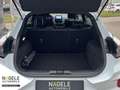 Ford Puma ST 1.5 EcoBoost|NAVI+LED+Sitzh+Winter-Paket Weiß - thumbnail 8