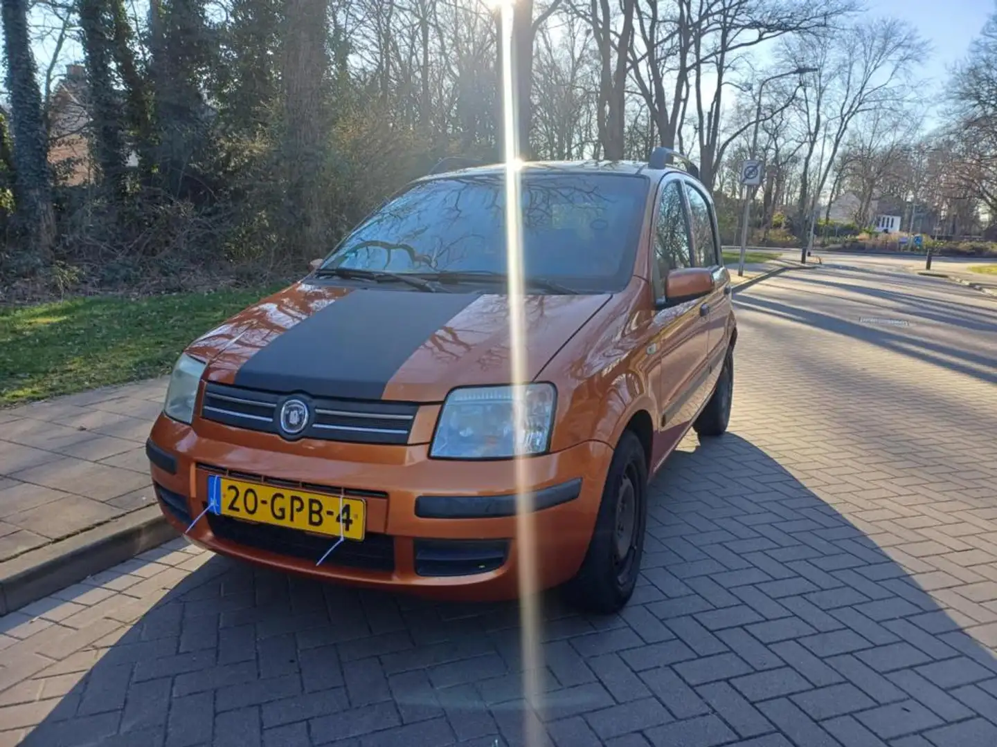 Fiat Panda 1.2 Edizione Cool Arancione - 2