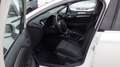 Citroen C4 (Stock ID 15104) Weiß - thumbnail 29