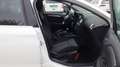 Citroen C4 (Stock ID 15104) Weiß - thumbnail 24