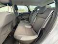 Ford Focus Wagon 1.6 TI-VCT First Edition 2e eigenaar,Climate Gris - thumbnail 9