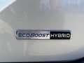 Ford Fiesta 1.0 EcoBoost MHEV ST Line 125 Plateado - thumbnail 10