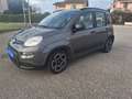 Fiat Panda Panda III 2021 1.0 firefly hybrid City Life s Grigio - thumbnail 1