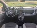 Fiat Panda Panda III 2021 1.0 firefly hybrid City Life s Grigio - thumbnail 12