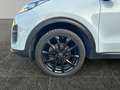 Kia Sportage 1,6 GDI ISG Titan     8-fach bereift! Weiß - thumbnail 15