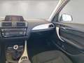 BMW 116 116i Blanco - thumbnail 12