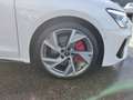 Audi S3 Sportback 2.0 TFSI q. S-Tronic, Matrix, Pano, Weiß - thumbnail 16