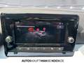 SEAT Ibiza 1.0 TSI Style DSG PDC ACC DAB Bluetooth LED Grau - thumbnail 31