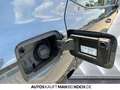 SEAT Ibiza 1.0 TSI Style DSG PDC ACC DAB Bluetooth LED Grau - thumbnail 17