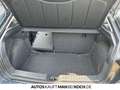 SEAT Ibiza 1.0 TSI Style DSG PDC ACC DAB Bluetooth LED Grau - thumbnail 14