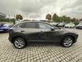 Mazda CX-30 L SKYACTIV-G 2.0 150PS M Hybrid 6GS AL-SELECTION A Gris - thumbnail 5